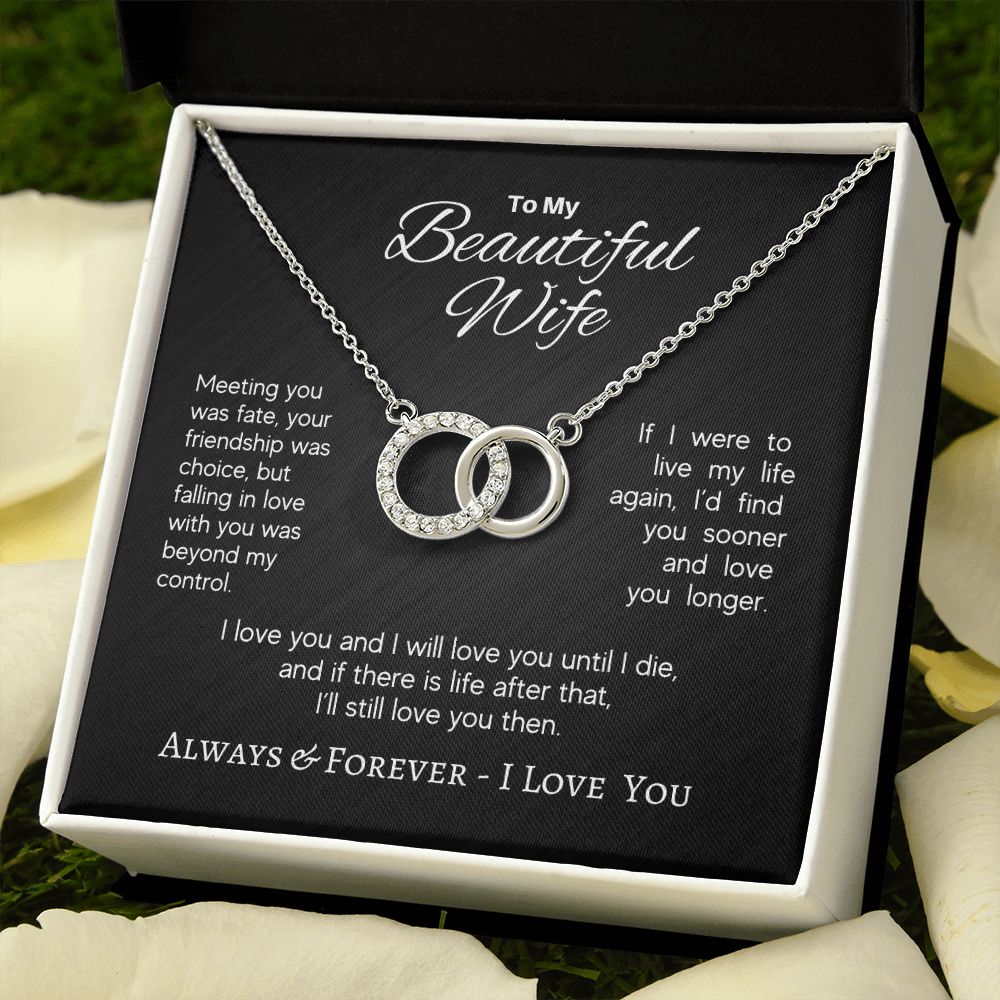 Beautiful Wife - Meeting You Was Fate - Perfect Pair Necklace